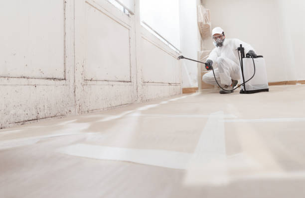 24/7 Emergency Attic Mold Remediation experts in College Park, GA