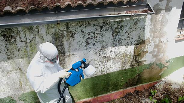Top rated local Attic Mold Remediation specialists in College Park, GA